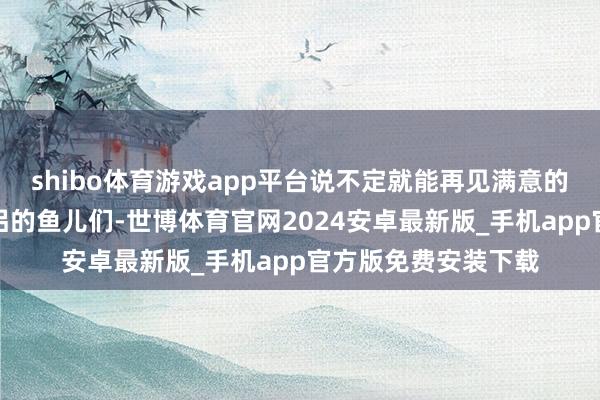 shibo体育游戏app平台说不定就能再见满意的对象呢！照旧有伴侣的鱼儿们-世博体育官网2024安卓最新版_手机app官方版免费安装下载