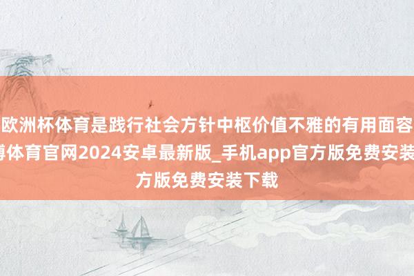 欧洲杯体育是践行社会方针中枢价值不雅的有用面容-世博体育官网2024安卓最新版_手机app官方版免费安装下载