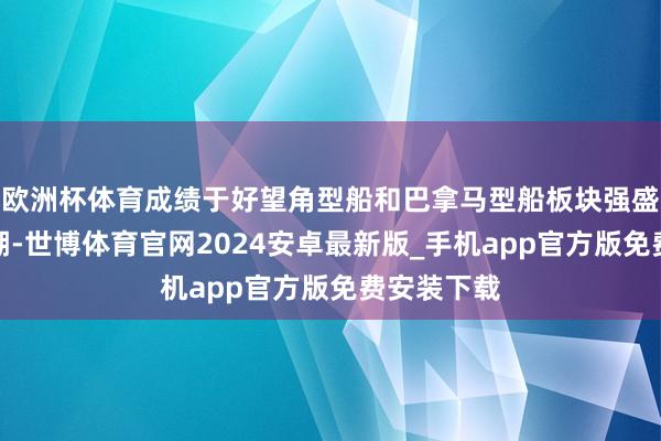 欧洲杯体育成绩于好望角型船和巴拿马型船板块强盛的运脚高潮-世博体育官网2024安卓最新版_手机app官方版免费安装下载