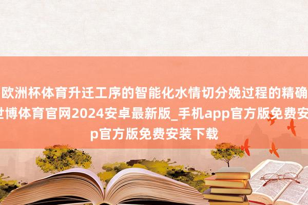 欧洲杯体育升迁工序的智能化水情切分娩过程的精确甩掉-世博体育官网2024安卓最新版_手机app官方版免费安装下载