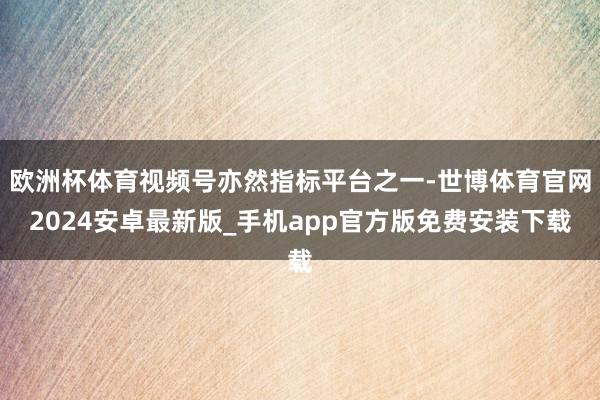 欧洲杯体育视频号亦然指标平台之一-世博体育官网2024安卓最新版_手机app官方版免费安装下载