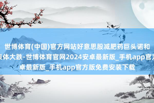 世博体育(中国)官方网站好意思股减肥药巨头诺和诺德、礼来股价集体大跌-世博体育官网2024安卓最新版_手机app官方版免费安装下载