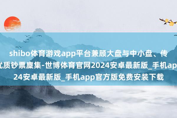 shibo体育游戏app平台兼顾大盘与中小盘、传统与新兴行业龙头的优质钞票麇集-世博体育官网2024安卓最新版_手机app官方版免费安装下载
